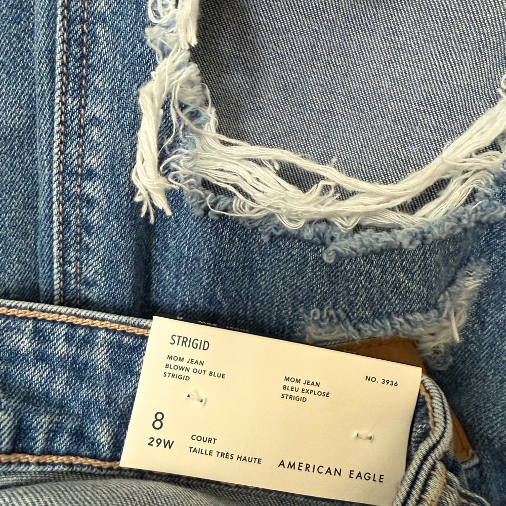 American Eagle Outfitters Light Blue Boyfriend Jeans